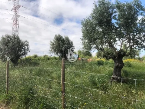 Terreno Para Construção