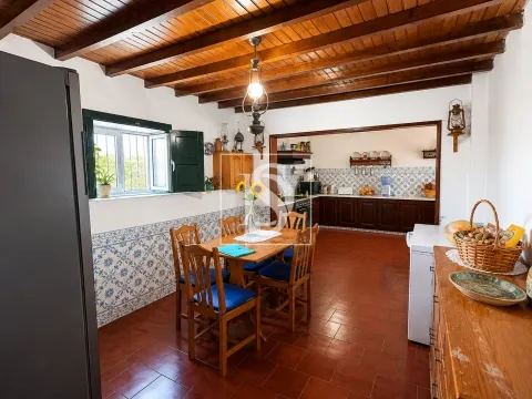 Moradia T4 com Garagem e Terreno de 875 m² na Golegã