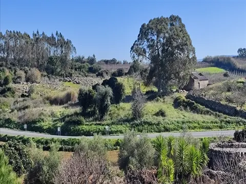 Terreno