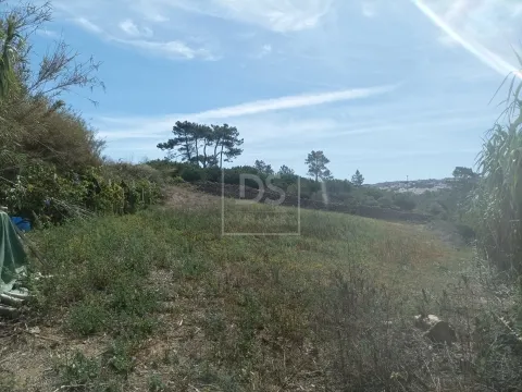 Terreno com 1.562 m² em Casal das Oliveiras | Proximidade à Ericeira e Excelente Potencial