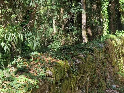 Terreno