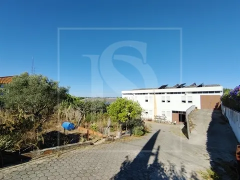 Armazém