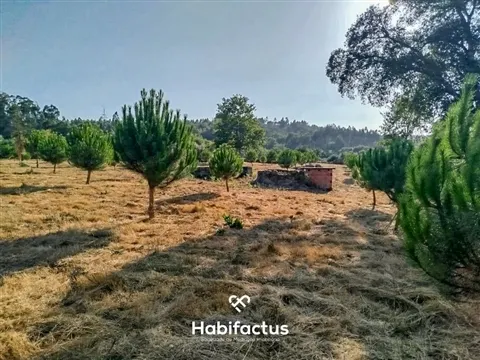 Real estate land