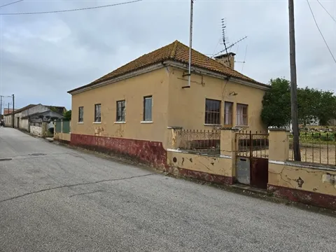Quinta T3