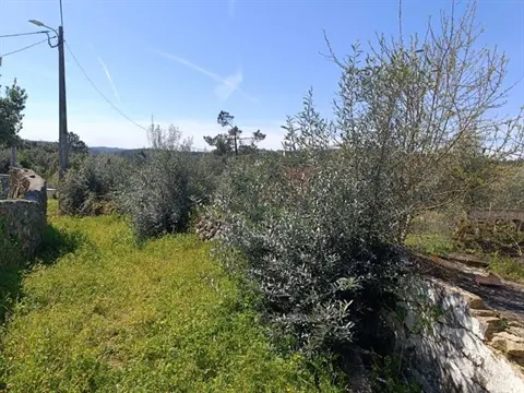 Moradia para Restaurar T3