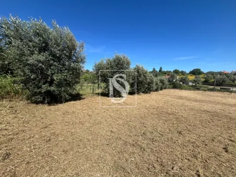 Terreno Com Ruina - Mouriscas - Abrantes