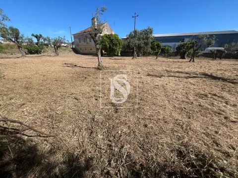 Terreno Urbano - Rossio ao Sul do Tejo - Abrantes
