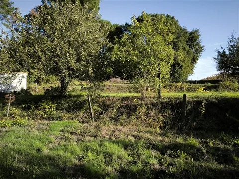 Terreno