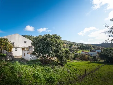 Terreno