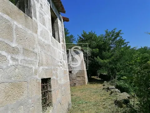 Quinta
