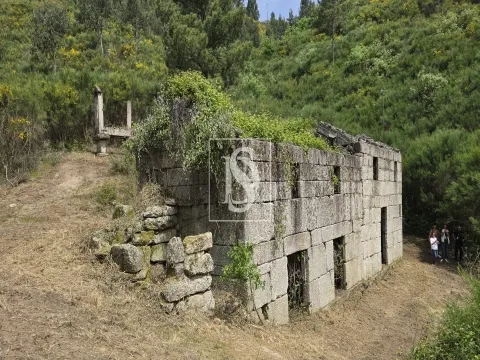 Quinta da Pinha em Bustelo - Amarante