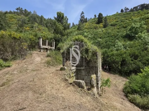 Quinta da Pinha em Bustelo - Amarante