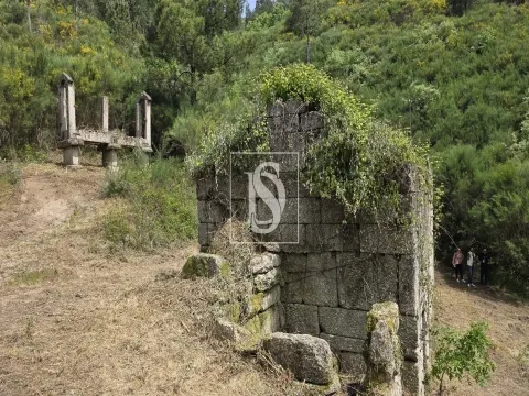 Quinta da Pinha em Bustelo - Amarante