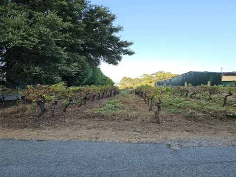 Terreno