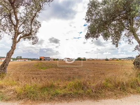 Real estate land