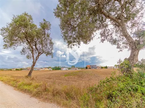 Real estate land