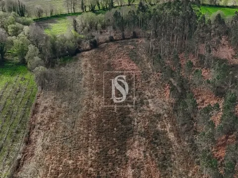 Terreno Rústico