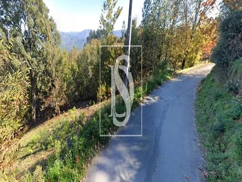 Real estate land