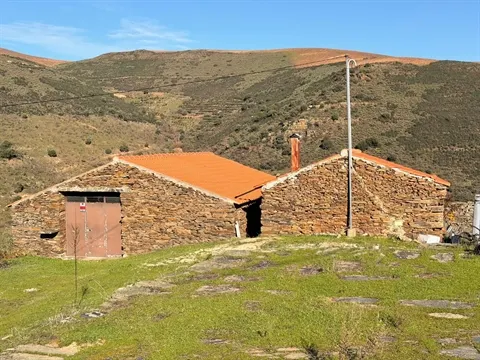 Quinta