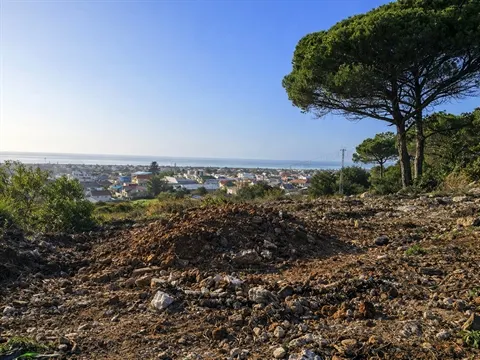 Terreno