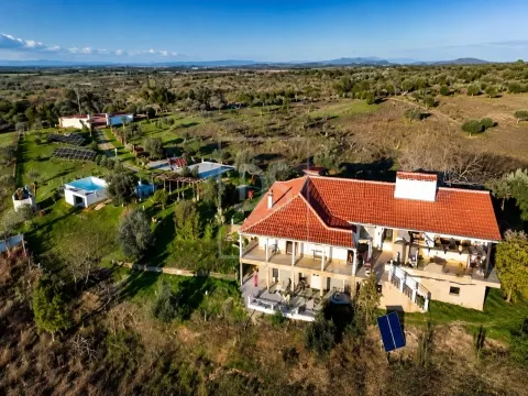 Quinta T5