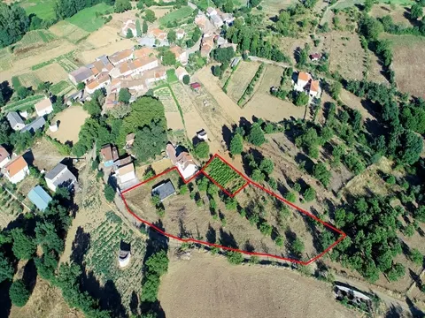 Terreno