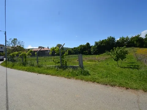 Terreno