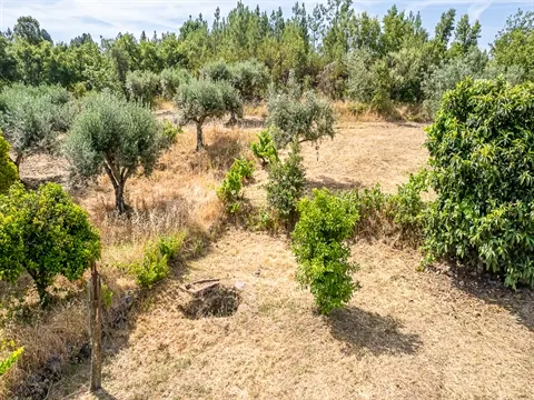 Terreno