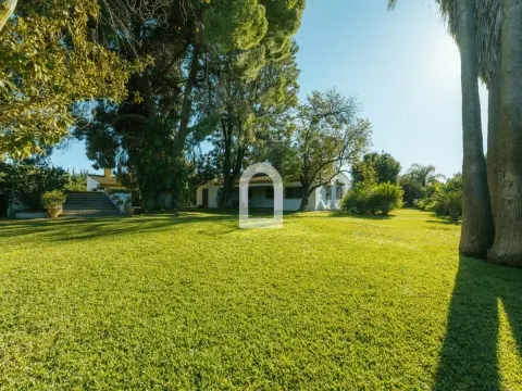 Chalet 4 habitaciones