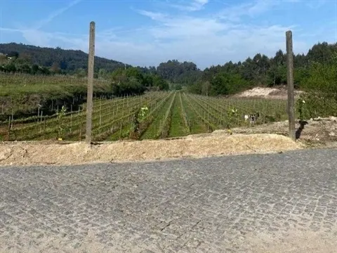 Terreno