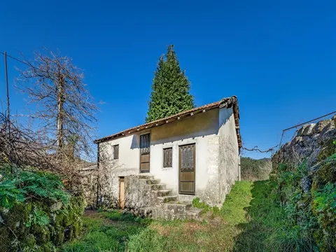 Quinta