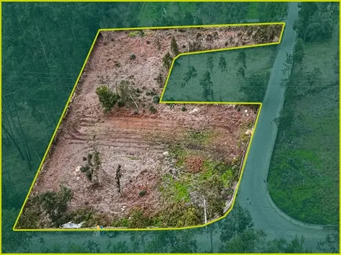 Terreno