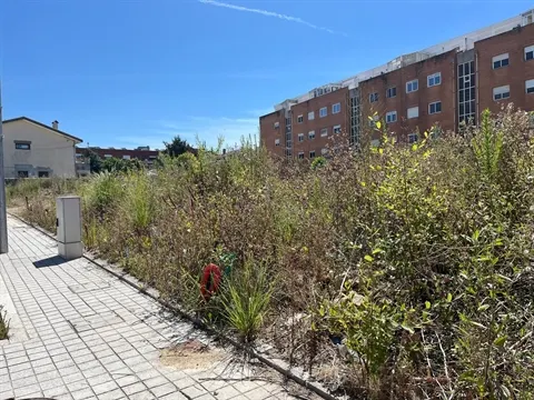 Terreno