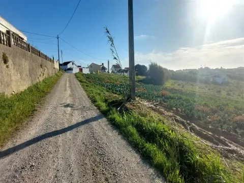 Terreno Rústico com Excelente Potencial Agrícola – Localização Privilegiada