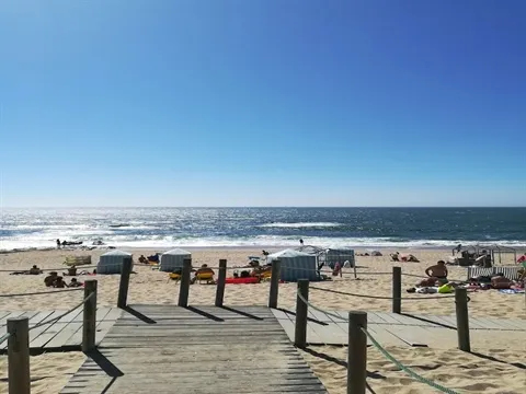 Terreno T4