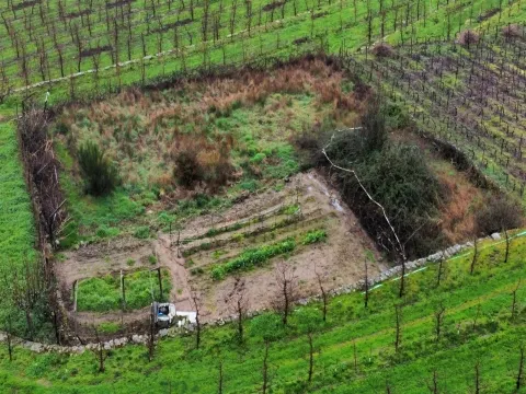 Terrenos Rústicos – Aricera e Goujoim, Armamar (Viseu)