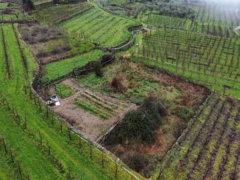 Terrenos Rústicos – Aricera e Goujoim, Armamar (Viseu)
