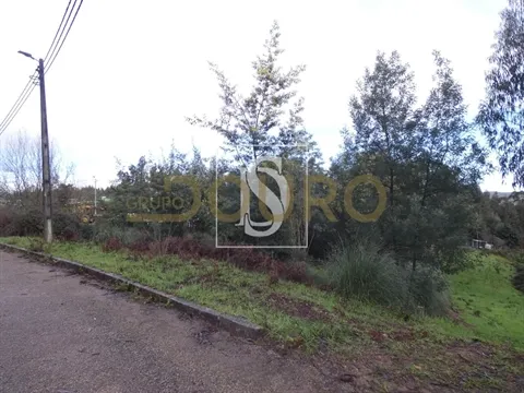Terreno Urbano