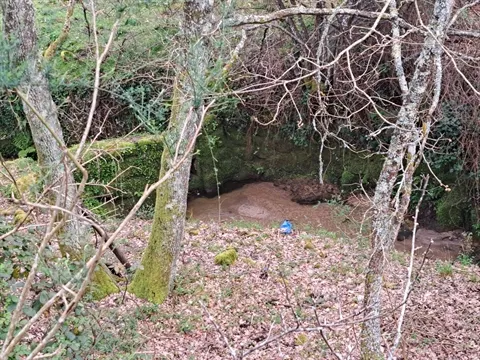 Farm