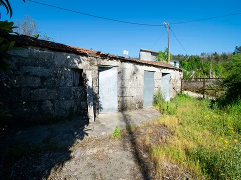 Quinta T2
