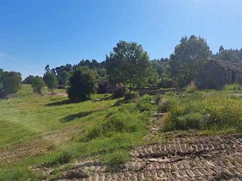 Quinta