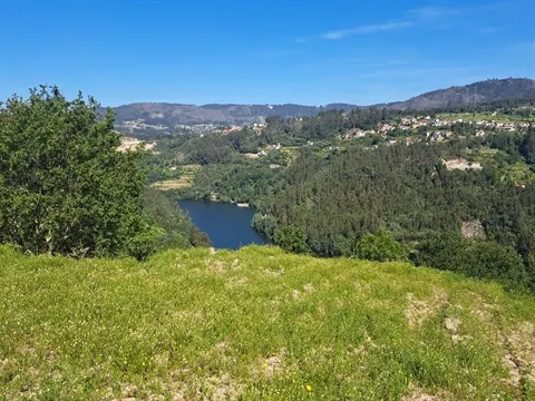 Quinta
