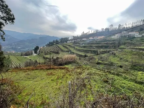 Terreno Rústico