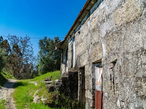 Quinta