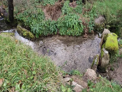 Terreno