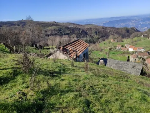 Terreno