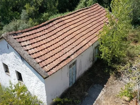 Quinta T2