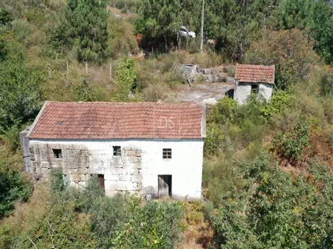 Quinta T2