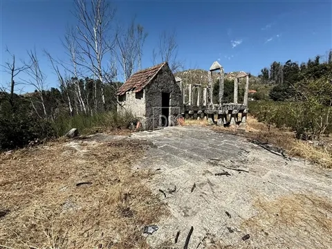 Farm T5