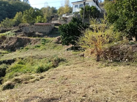Terreno Rústico Venda